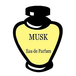 MUSK EAU DE PARFUM 100ML