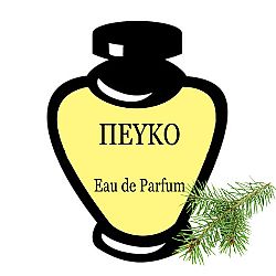 ΠΕΥΚΟ EAU DE PARFUM 100ML